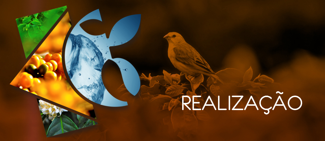 thumb-realizacao-slide